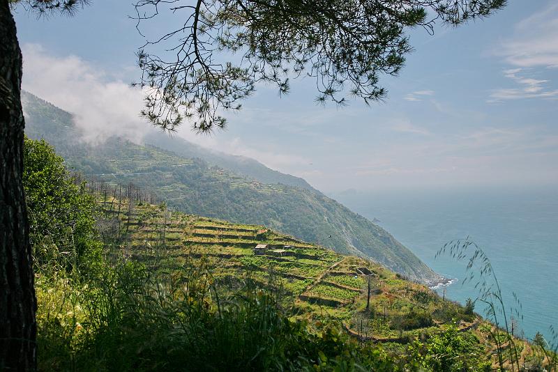 Ligurien-Cinque Terre  43.jpg